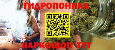 PSILOCYBIN Гусь-Хрустальный