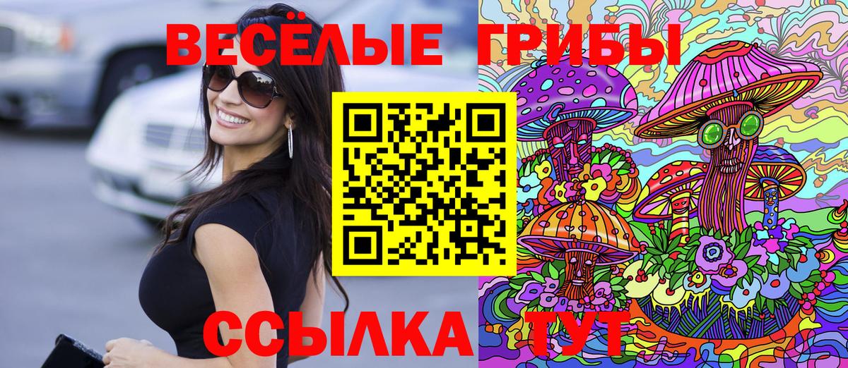 Псилоцибиновые грибы MAGIC MUSHROOMS  Вход с VPN  Муром 