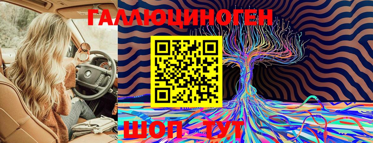 Галлюциногенные грибы GOLDEN TEACHER Муром